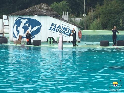 Sortie scolaire à planète sauvage pour les MS